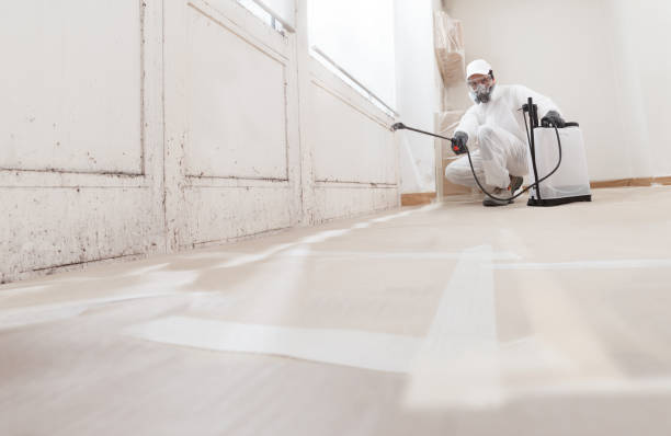 24/7 Emergency Mold Testing experts in Hudson, MI
