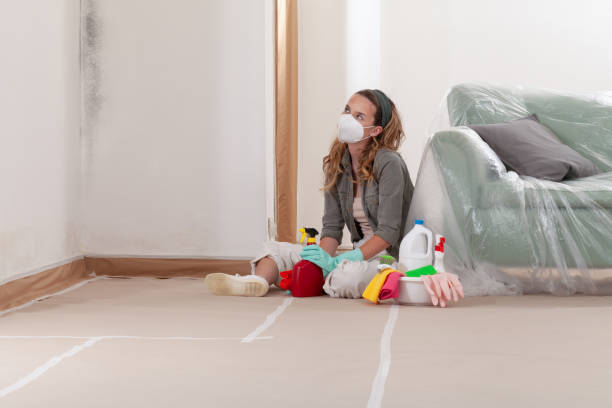 Reliable Mold Testing contractor in Hudson, MI by WQB Mold Removal