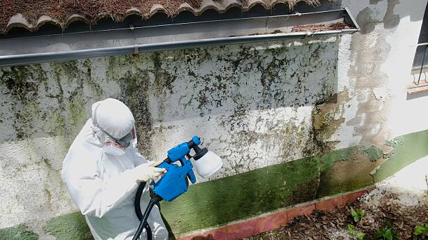 Top rated local Mold Testing specialists in Hudson, MI